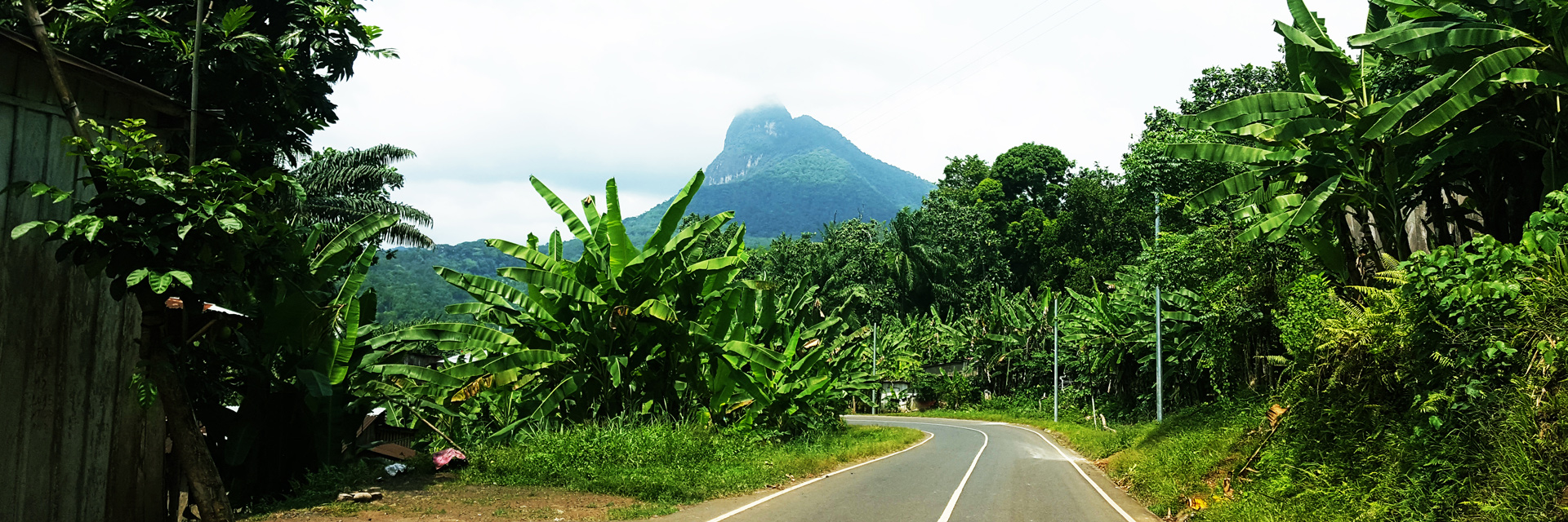 Excursion south area